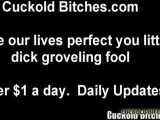 I will introduce You for a Cruel Cuckolding Session: sex clip fe