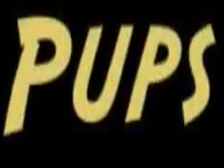 Rubber gimp puppy hond film