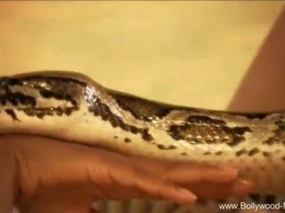 Bollywood και ο δελεαστικός snake