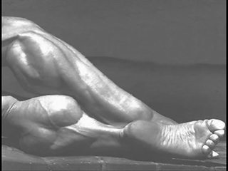 女 健美运动 fbb 健美运动员 肌肉 艺术