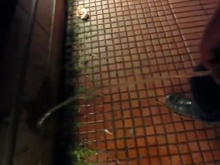 Flash my teen prick outside station and goes ahead pissing