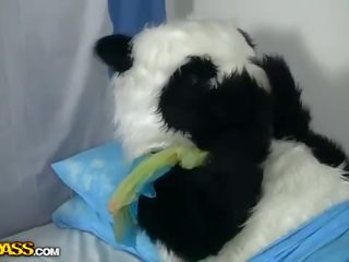 Brudne dorosły wideo do lekarstwo za chory panda film